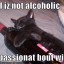 Weekend Cat