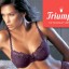 triumph (1)